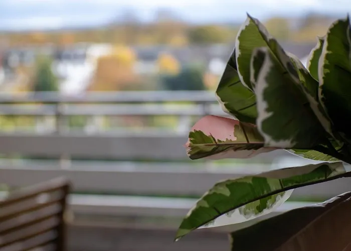 Lichterfüllte Erholungsoase Für Groß Und Klein Apartamento